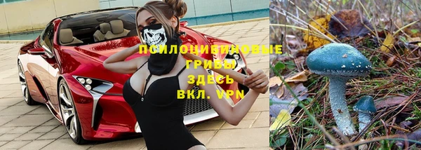 тгк Армянск