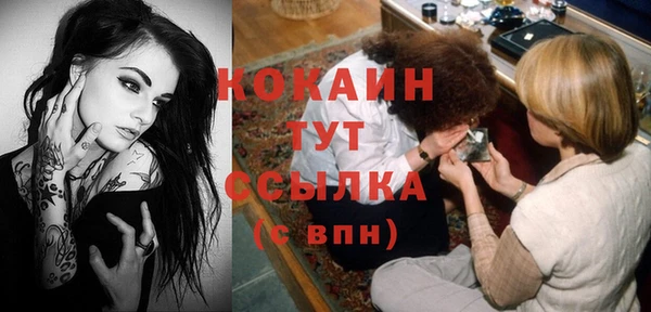 тгк Армянск