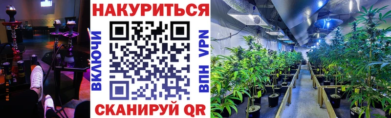 Шишки марихуана VHQ  Лагань 